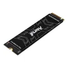 SFYRS/500G - FURY Renegade 500GB SSD, 2.5 Zoll, M.2 via NVMe