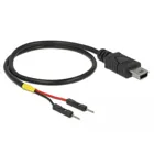 USB power cable mini-B to 2 x post plug single power 30 cm